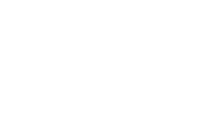 Logo Kestrel Vision